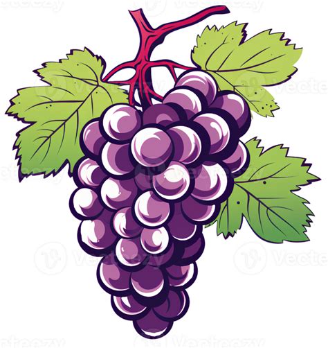Grape Illustration Ai Generative 29151674 Png