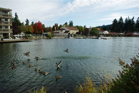 Filelake Oswego From North Side Near East End Of Lakewood Bay With