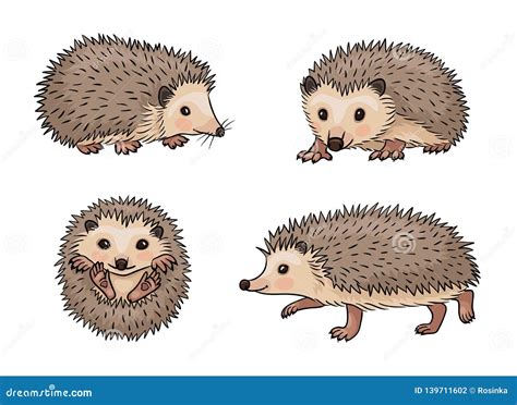 Cute Hedgehogs Vector Illustration Stock Vector Illustration Of