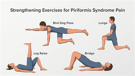 Piriformis Muscle Stretch And Physical Therapy Spine Health