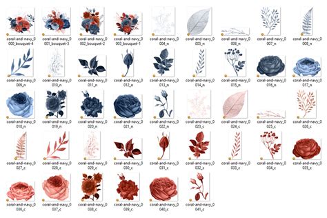 Coral And Navy Floral Clipart By Digital Curio