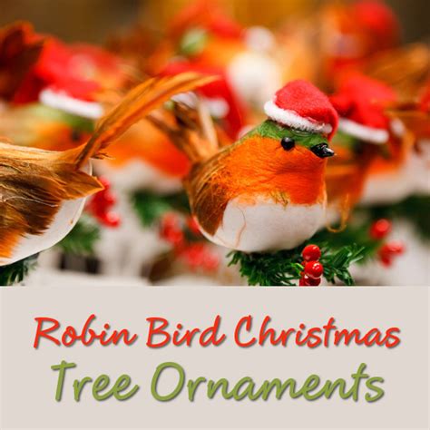 Robin Bird Christmas Ornaments And Tree Decorations