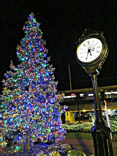 Village Of Massapequa Park New York Christmas Tree In 2014 December