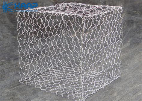 Professional Gabion Wire Mesh Hot Dipped Galvanized Pvc Coated Durable