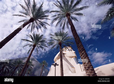 Replica Sphinx And Palm Trees Luxor Hotel Las Vegas Nevada Usa