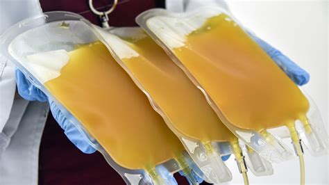 What Happens To Your Body When You Donate Plasma