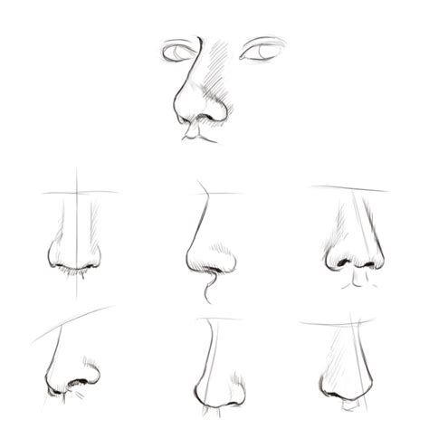 Nose Drawing Images At Getdrawings Free Download