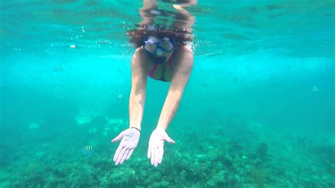 Snorkeling Bahamas November 2015 Youtube