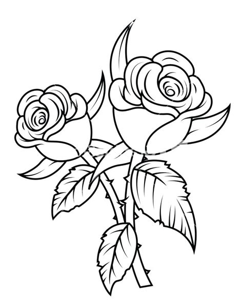 Rose Pencil Drawing Step By Step Free Download On Clipartmag