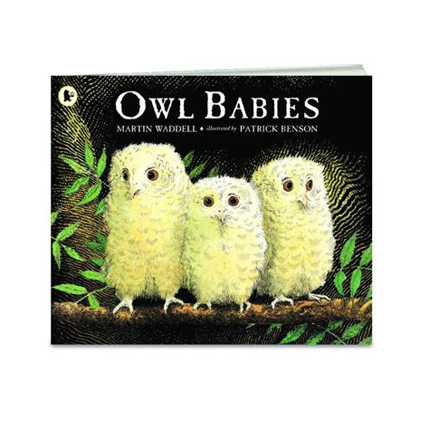 Owl Babies Books Picture Book And Big Book Owl Babies Book Baby