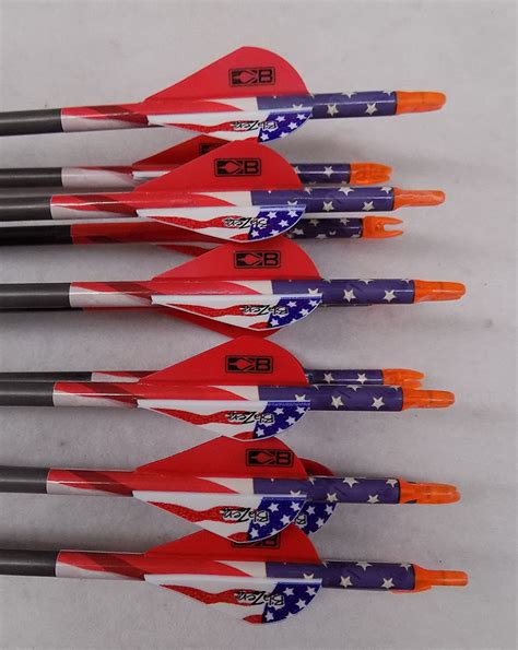 Black Eagle Outlaw 400 Carbon Arrows Wblazer Vanes