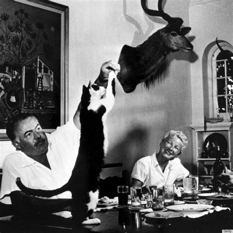 26 Interesting Vintage Photos Of Ernest Hemingway With His Beloved Cats