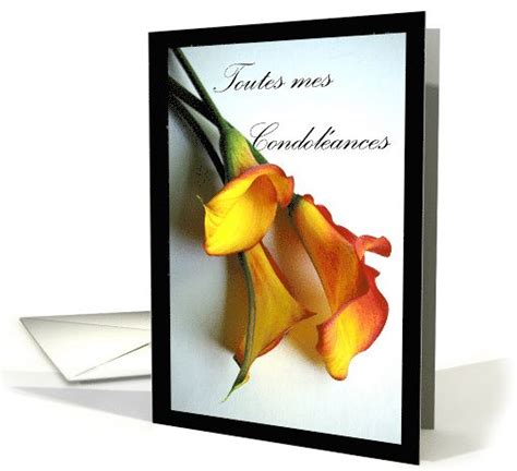 Sympathy In French Calla Lilies Calla Lily Condolence Card