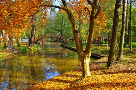 The Best Places To See Fall Foliage In Germany