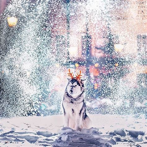 15 Pictures Which Show Why Moscow Is Magical In Christmas