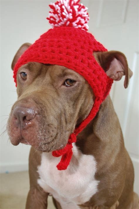 Dog Hat Red And White Crochet For Extra Large Dogs By Courtanai