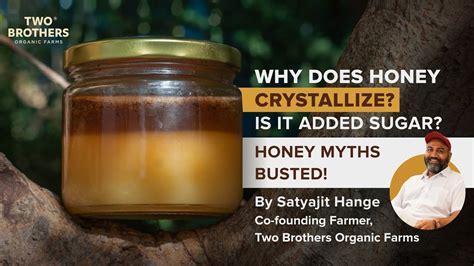 Why Does Your Honey Crystallize Honey Myths Busted By Satyajit Hange YouTube
