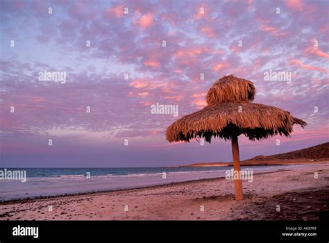 Palapa On Beach At Sunset Playa Tecolote Near La Paz Baja California