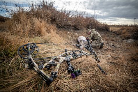 New Hunting Bows Hoyt Archery