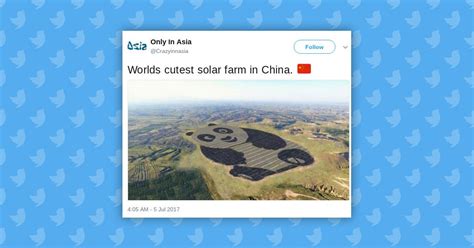 Is Chinas Panda Bear Solar Farm Real