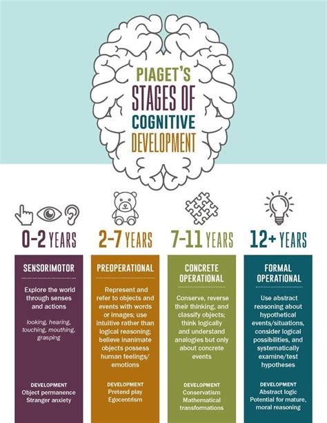 Piagets Four Stages Of Cognitive Development Infographic Child