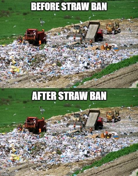 Landfill Before And After Imgflip