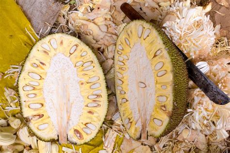 Why Jackfruit Is Good For You The Health Benefits Of Vegan Meat