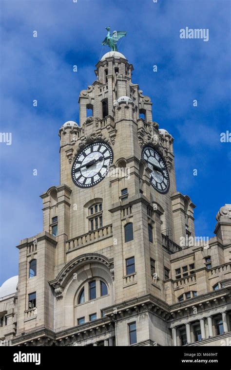 Royal Liver Building Clock Tower Liverpool Merseyside England Uk