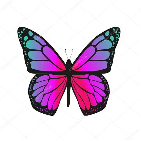 La mariposa con alas rosadas vector, gráfico vectorial © byvivik89