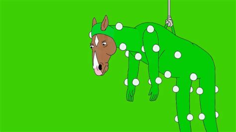 Discover And Share This Bojack Horseman  With Everyone You Know Giphy