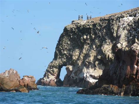 Isole Ballestas Tour Condiviso Con Escursione In Barca Getyourguide