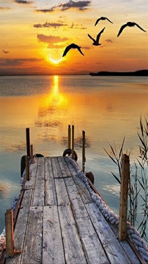 The Good Life Burds Deck Fall Fishing Lake Pier Scenes Sunset