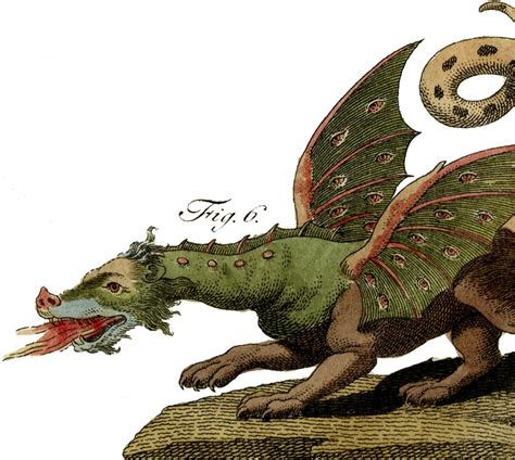 A Thunder Of Dragons Creatures Of Myth And Magic Fantasy Decorating