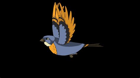 Flying Bluebird Animation With Alpha Youtube