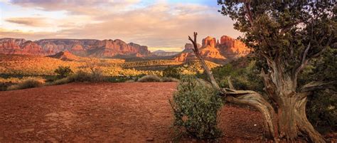 Arizona trucking & materials has a wide variety of decorative rocks, landscaping rocks, sand, gravel, flagstone and other landscaping materials. Landscaping Information | Green Valley Decorative Rock