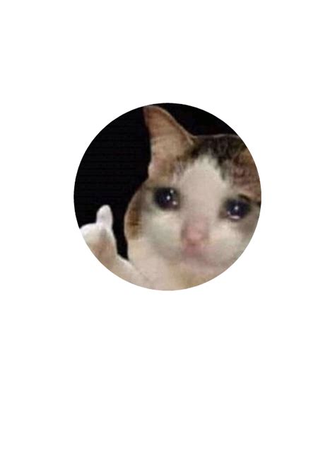 Crying Cat Thumbs Up Meme Transparent Featured Crying Cat Thumbs Up