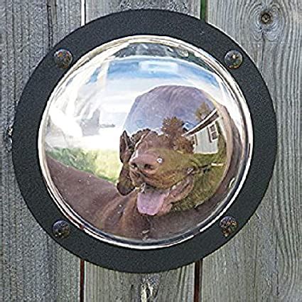 A freestanding pet gate like no other!. Amazon.com : Dog Fence Window, Pet Peek Porthole Window ...