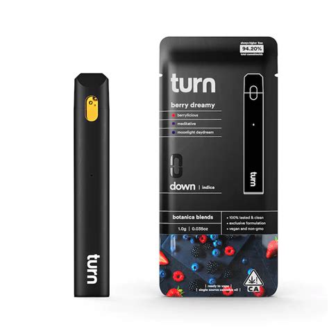 Turn Indica Berry Dreamy Disposable Vape Pen 1g The Kind Center