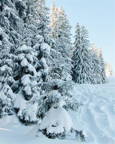 Pin By M On Дивна казка зими Winter Scenes Winter Landscape Scenery