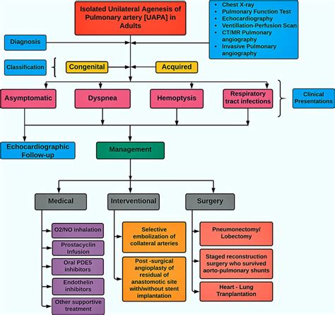 Flow Chart Summarizing The Diagnosis Classification Clinical