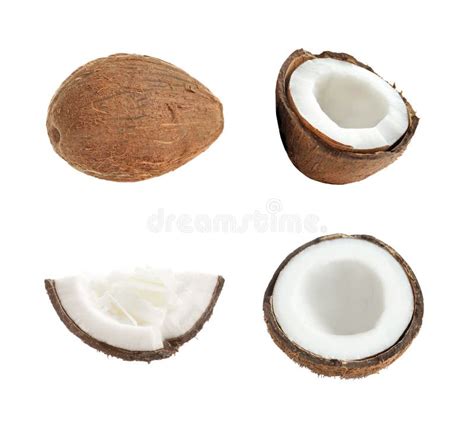 Set Of Ripe Coconuts Isolated Stock Photo Image Of Cracked Broken