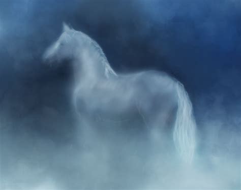 Cloud Horse Image ~ Opera Prima