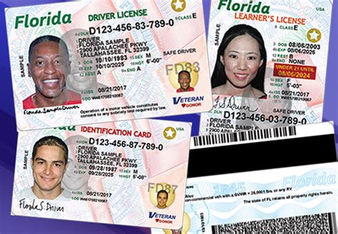 Florida Drivers Licenses And Identification Cards Getting New Look