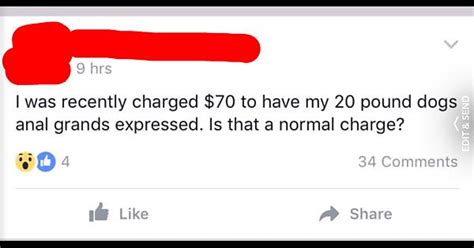 Grandma Worried She Overpaid To Have Her Dogs Anal Glands Expressed