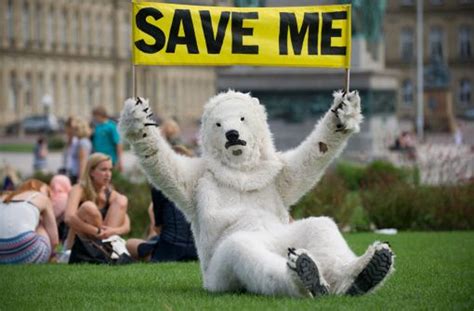 Protest gegen Klimawandel Greenpeace Eisbär fragt auch OB Kandidaten