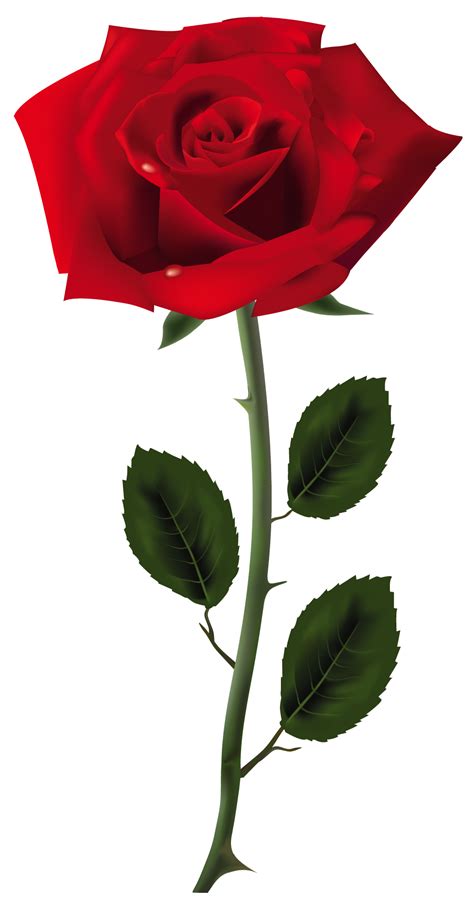 Rose Clip Art Red Rose PNG Art Picture Png Download Free Transparent Rose Png