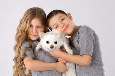 دختران کوچک با سگ های جدا شده در پس زمینه خاکستری بچه دوست داشتنی حیوانات خانگی 1409779