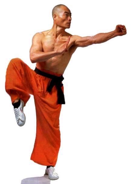 Shaolin Monks Shaolin Kung Fu Karate Kung Fu Martial Arts Chinese