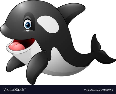 Cute Orca Isolated On White Background Royalty Free Vector