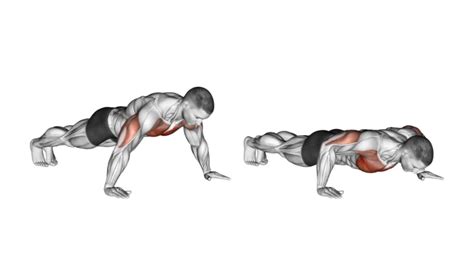 Push Ups How To Muscle Worked Benefit Variations